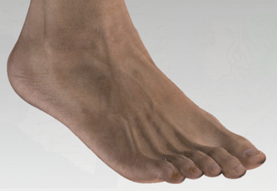 End&uuml;striyel kameralı 3D Tarayıcı